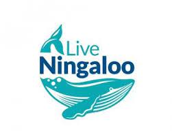 Live Ningaloo